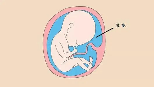 妈妈生下四胞胎爸爸急哭了,妈妈生下双胞胎儿子爸爸绝望