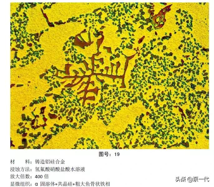 马氏体、奥氏体、珠光体，20种材料彩色金相，带你轻松识别