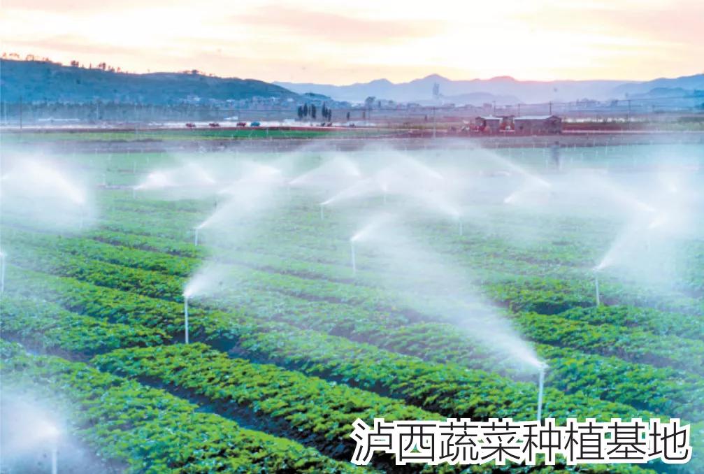 2018云南各地州招商引资,云南16州市如何招商引资