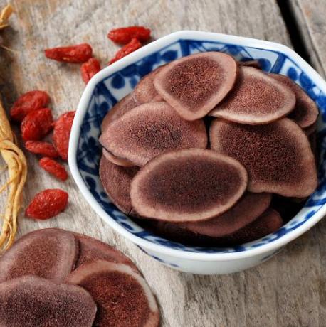 鹿茸泡酒有哪些注意事项,鹿茸泡酒最好用什么鹿的鹿茸