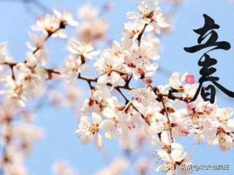 年前立春二月寒是什么意思,年后立春倒春寒啥意思