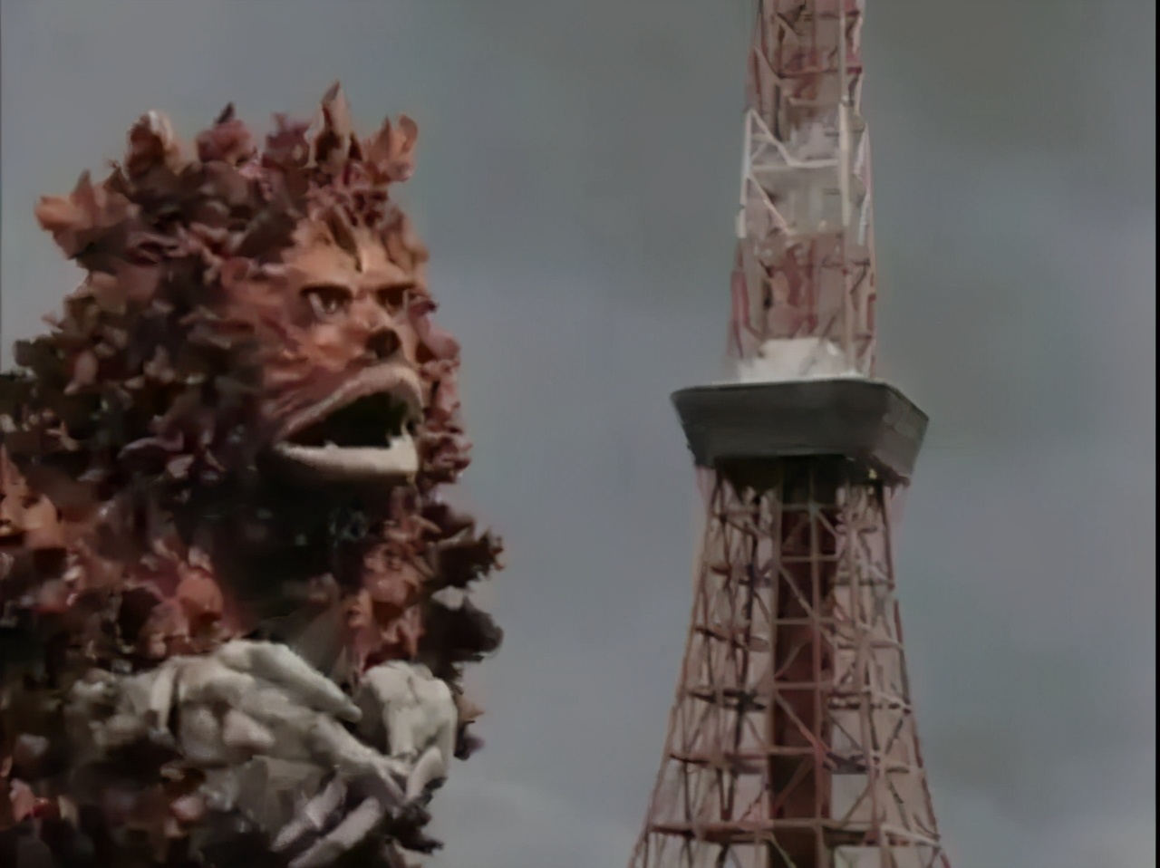 火了40年的顶流,火了20年的顶流