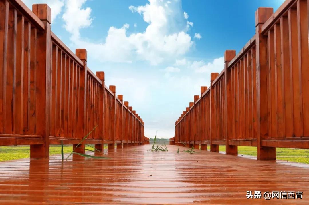 乡野趣民国哪里好玩,乡野户外趣味活动