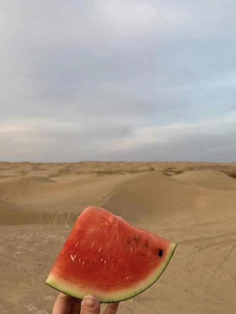 银川周边自驾沙漠,榆林市毛乌素沙漠自驾游