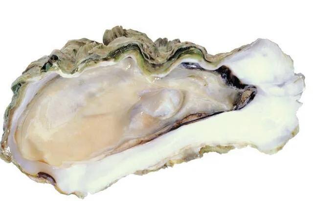 三亚火车头海鲜批发市场,三亚万人火车头海鲜广场