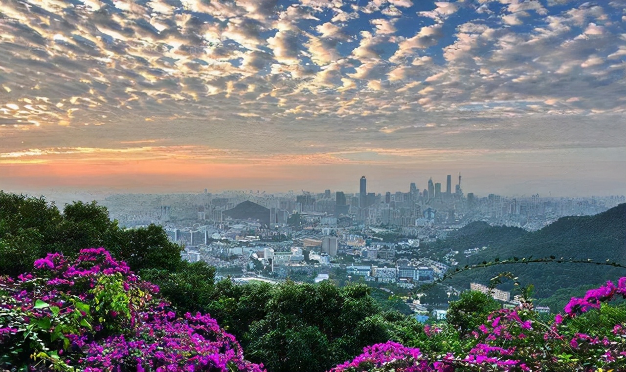 白云区规划最新消息,白云区重点发展区域