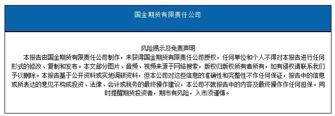 国金期货分析师行情交流会纪要20200518