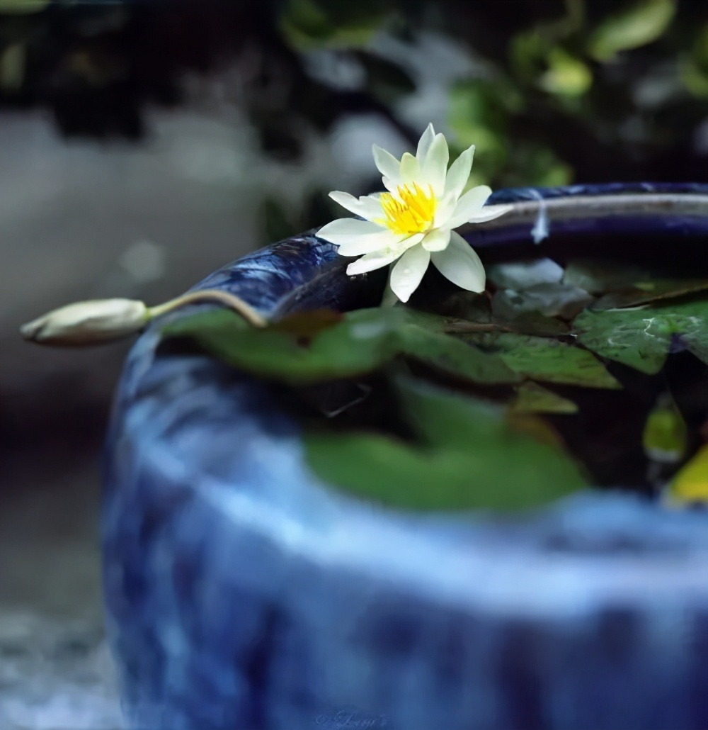 真正聪明的人身上有哪些特征,聪慧女人的特征