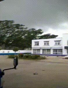 搞笑gif图来袭看一次笑一次,搞笑gif开心一刻