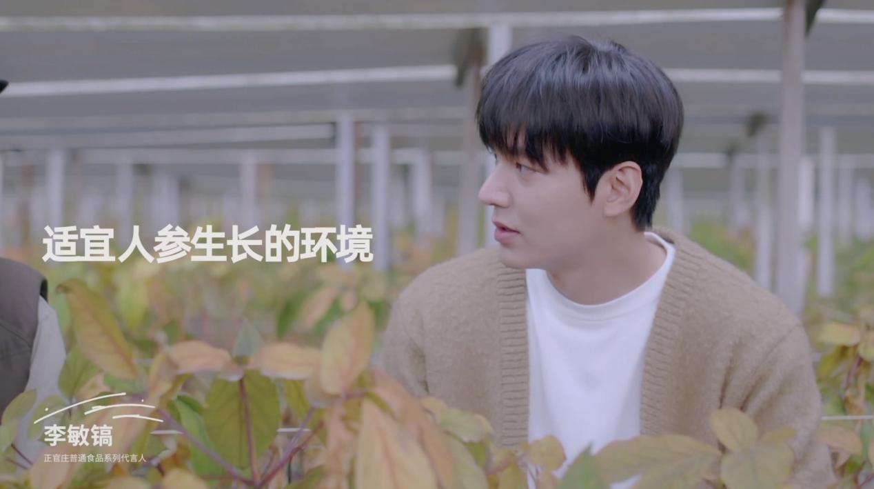 一岁多的好奇宝宝,李敏镐年轻的广告