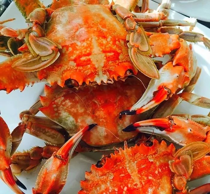 盘锦美食必吃10家饭店,盘锦寻鲜记