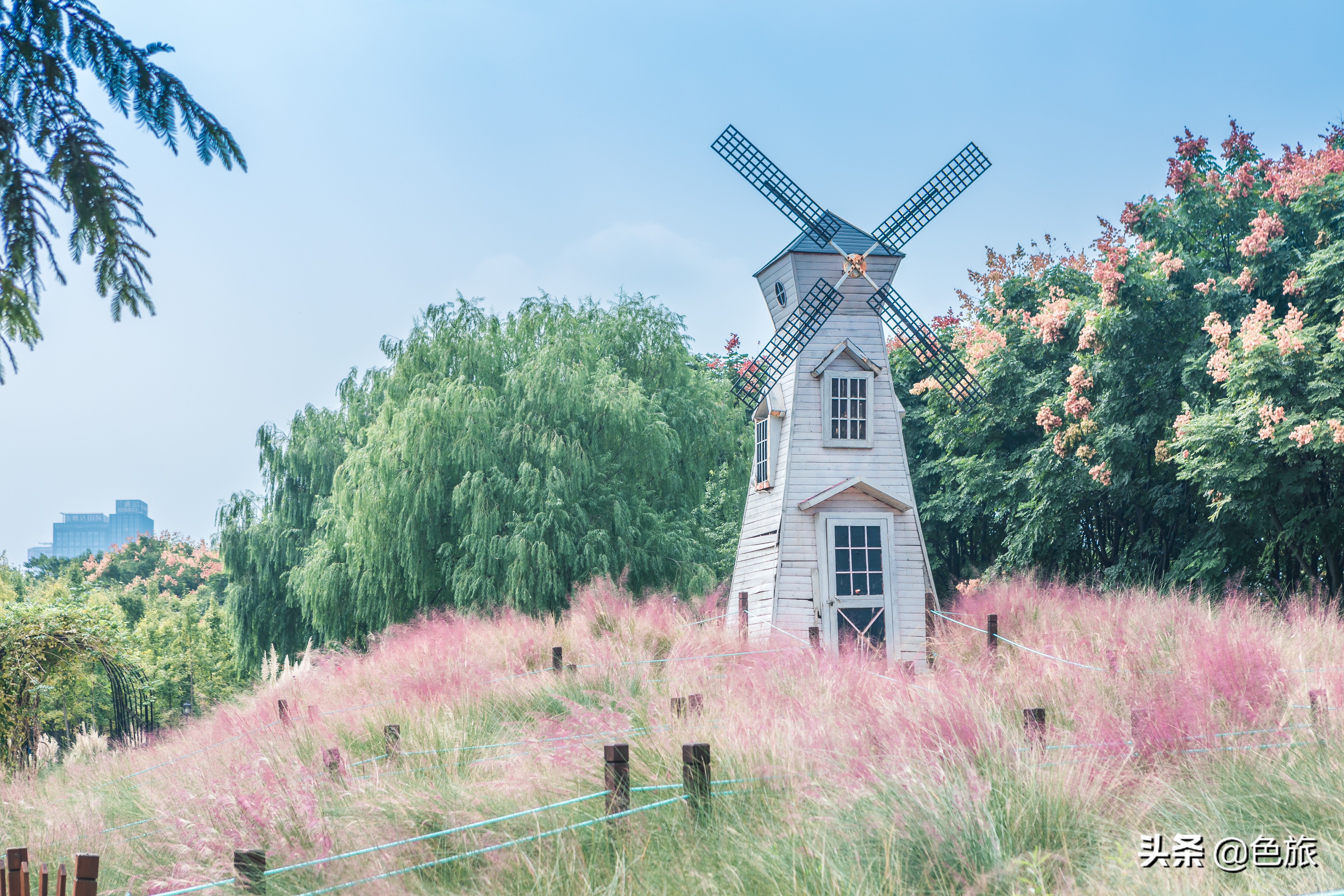 杭州花海网红打卡,杭州粉黛花海打卡地