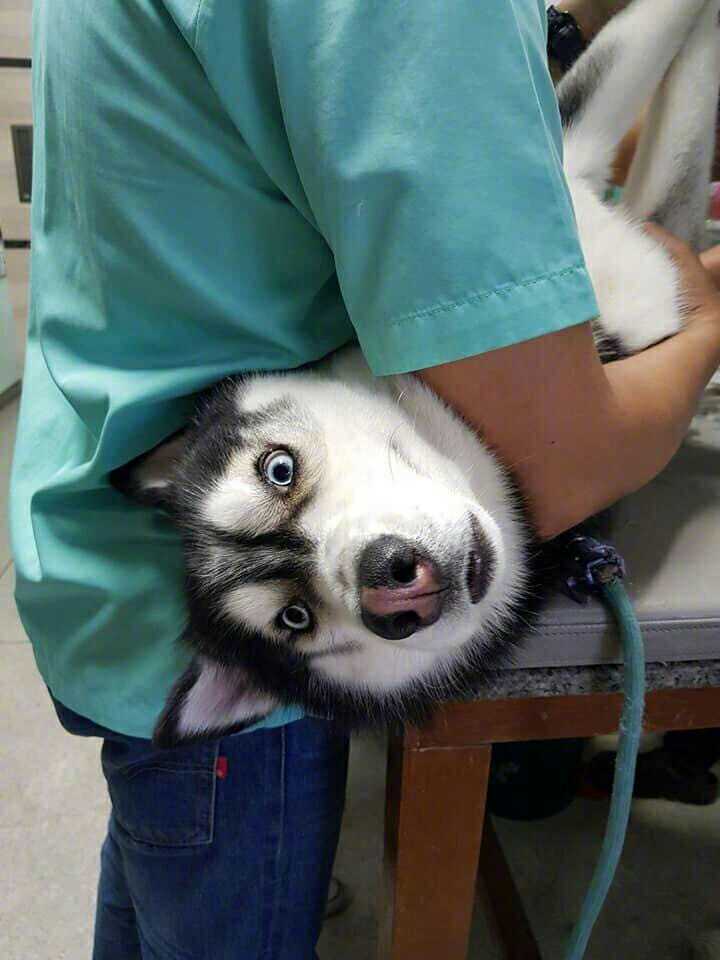 表情包一二抖音,一二三秒了表情包