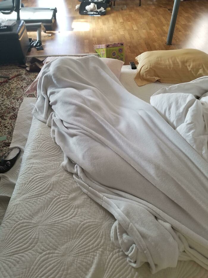 网友随手一拍却很惊艳的图,网友拍摄绝美光影瞬间