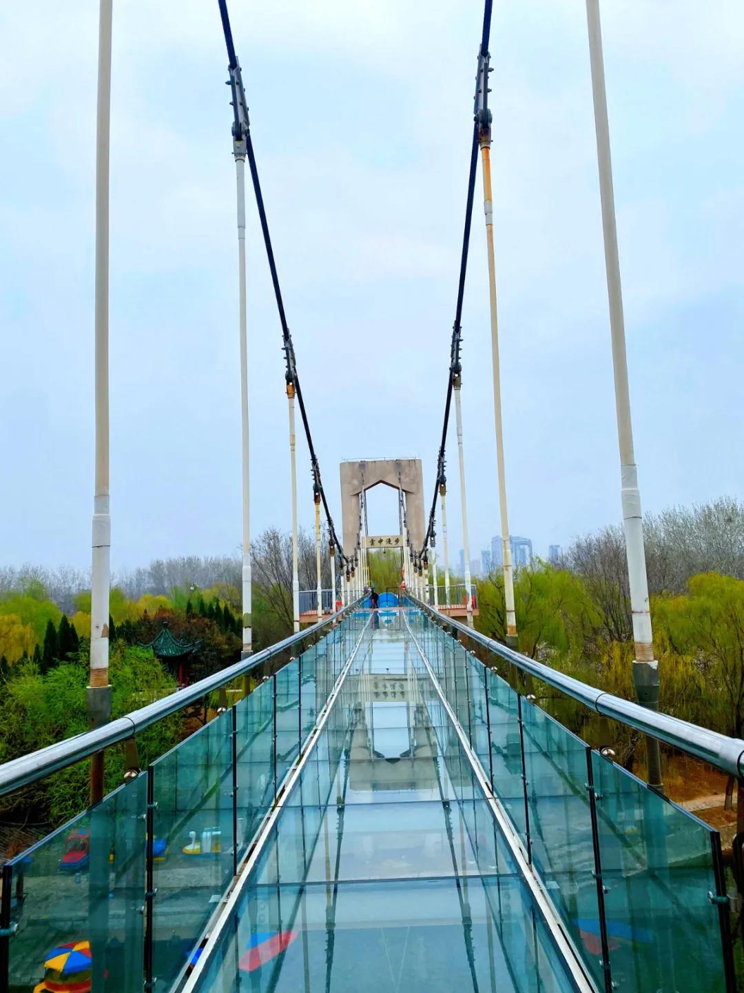 聊城姜堤乐园的门票是多少钱,姜堤乐园玻璃桥