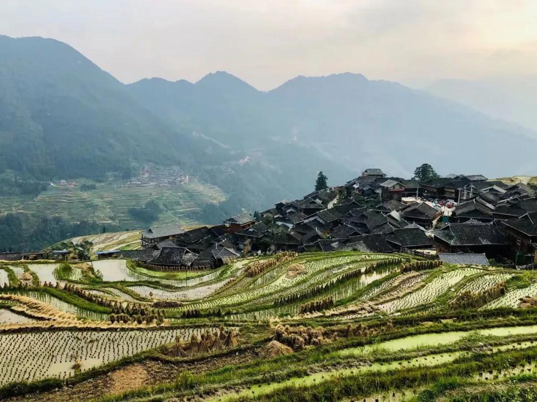 农造田野丨总有一根神经通往乡野|月亮山百里梯田