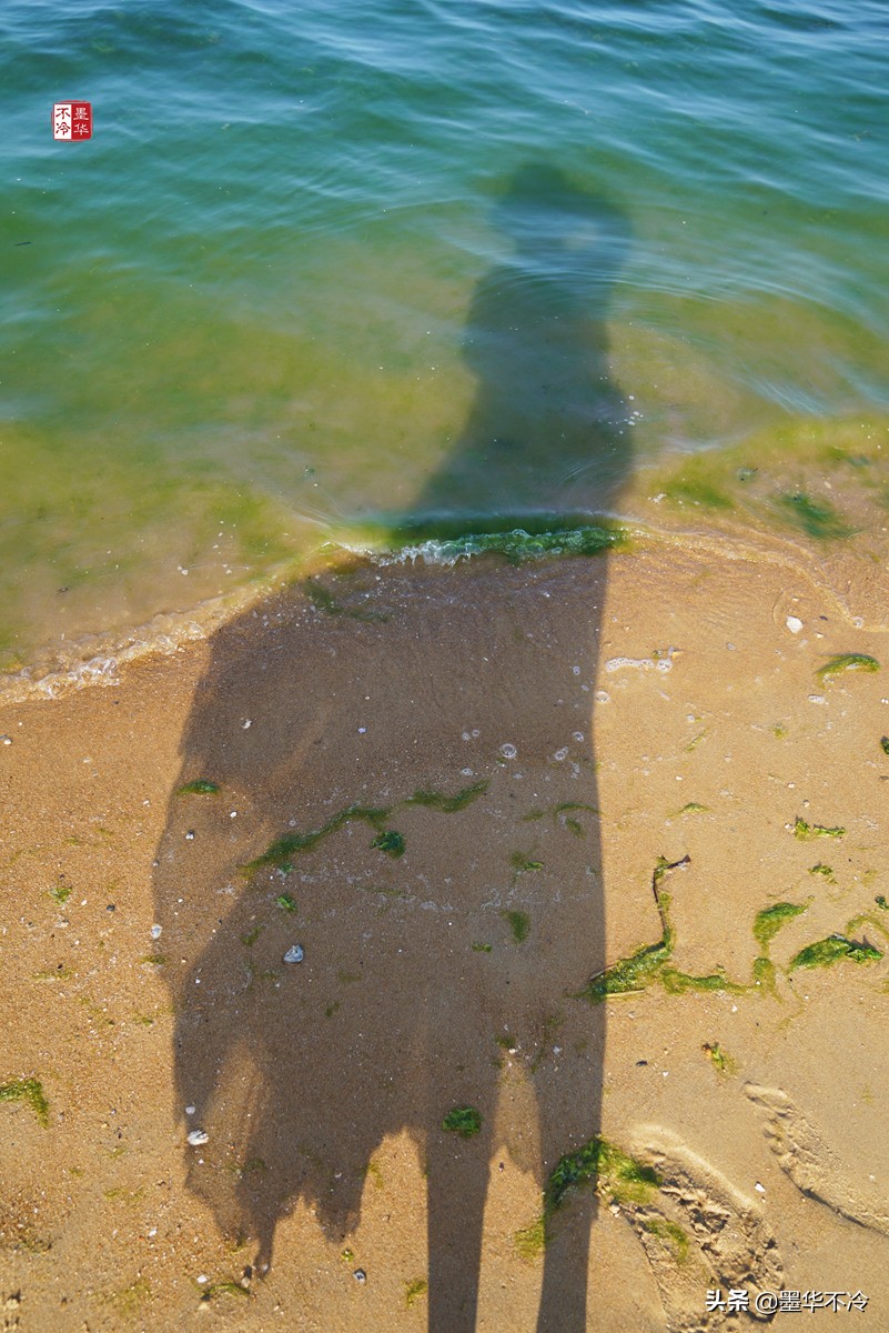 威海5月游记,威海最美一日游
