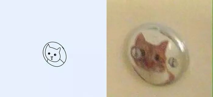 你和大触绘画的区别：一看就会一画就废，这波动物简笔画太形象了