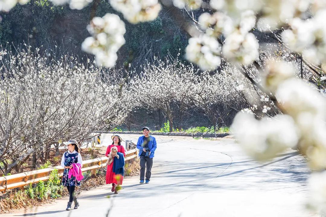 2024攀枝花旅游,攀枝花旅行榜单