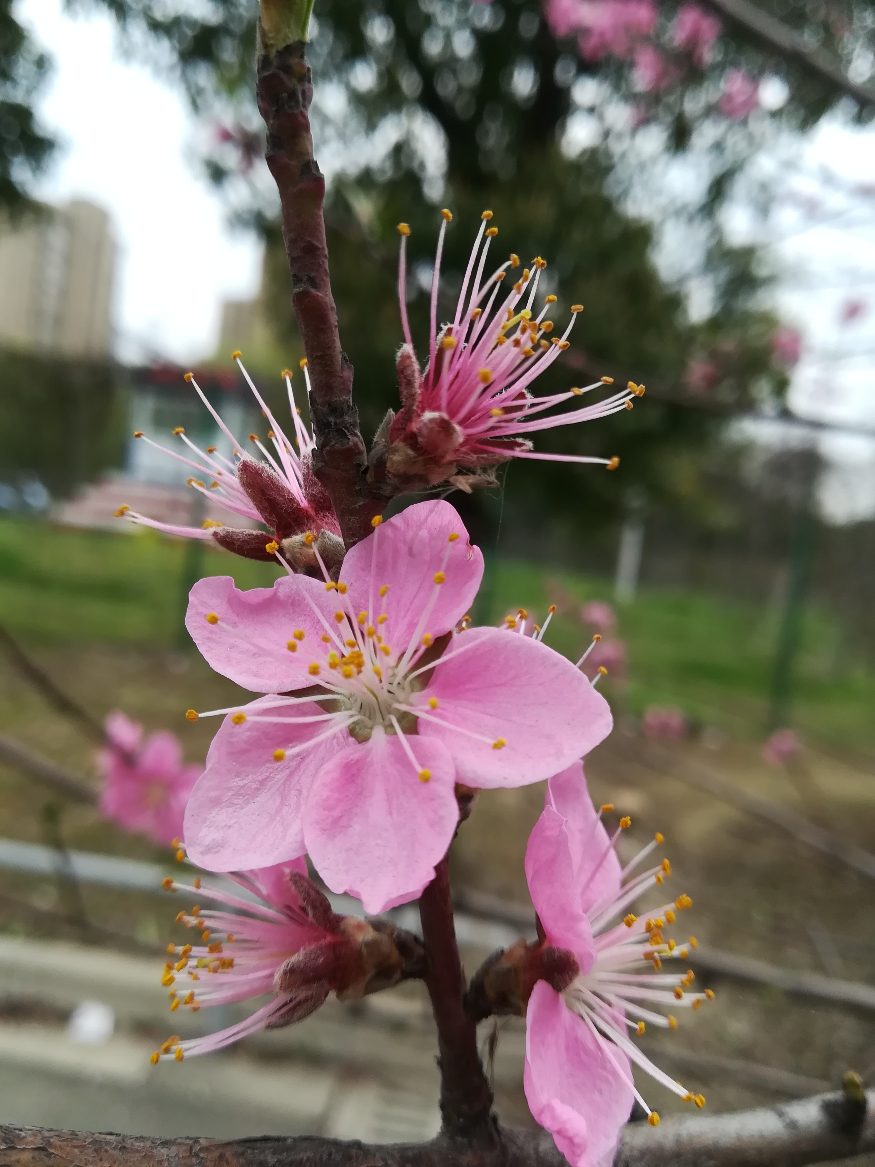苏州越溪永旺梦乐城,苏州新区永旺梦乐城