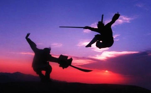 世界最大种子网站又不行了？DDoS出来挨打