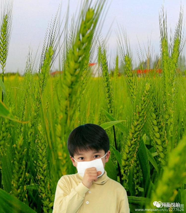 金色童年8张图片,金色的童年相片