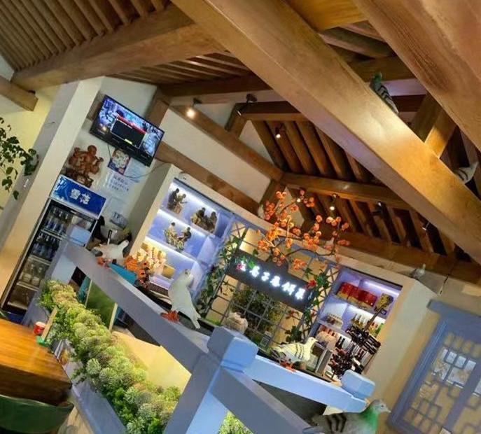 石河子市美食小视频,石河子美食集中在哪个区