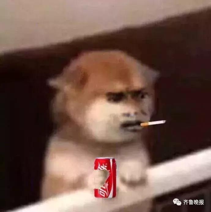 网店被罚20万违法吗,代购税务处罚标准