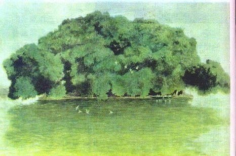 不同年代的小学课文插图,小学课文插图还记得多少