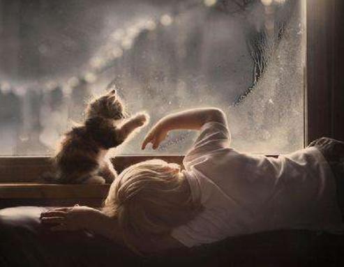 猫毛会被吸入婴儿鼻子,猫毛会入肺的新闻