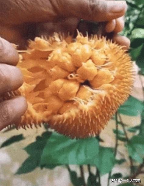 肾虚的时候健身有用吗,肾虚体育锻炼有效吗