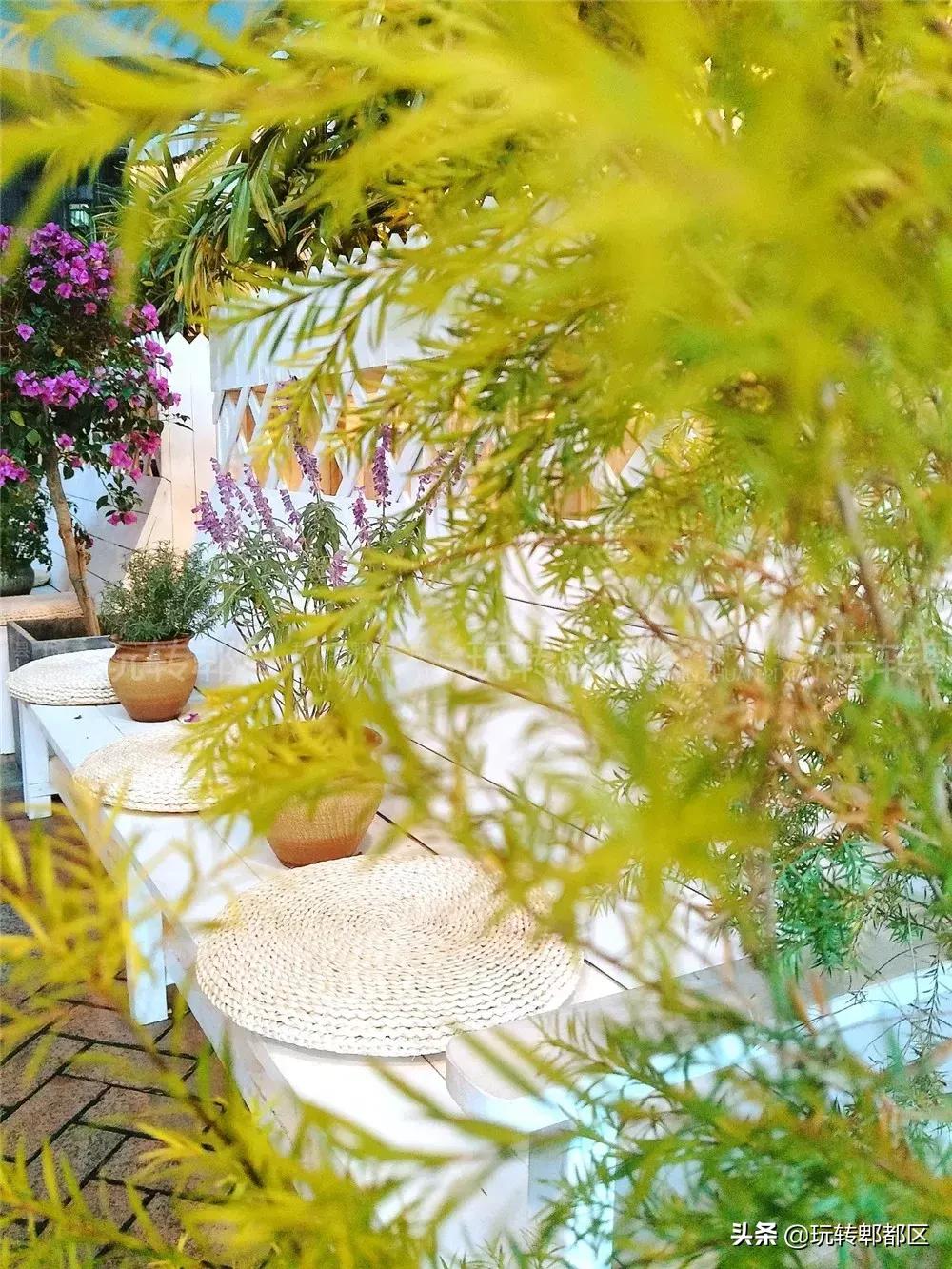 暹香泰茶和素匠泰茶,暹香泰茶好不好