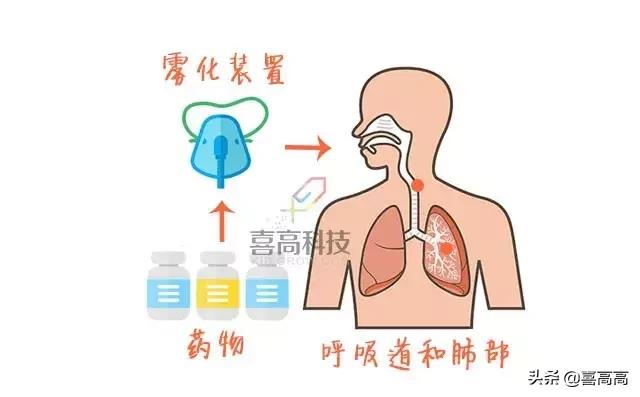 雾化药含激素，是“止咳神器”还是“长高杀手”？