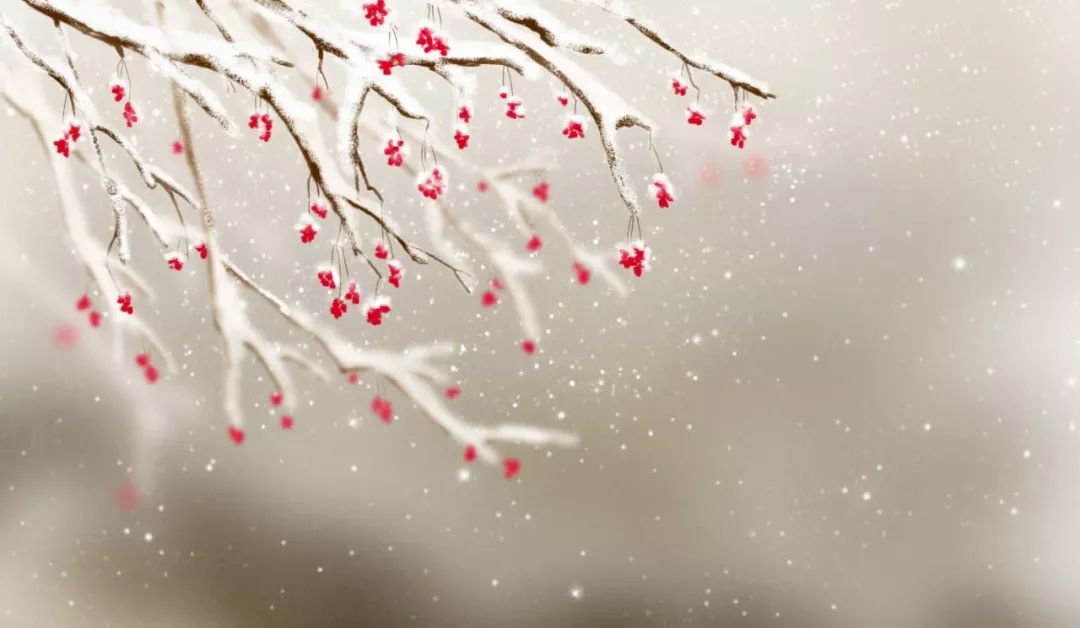 人民日报中国文化常识一百题,人民日报发表的中国文化100题