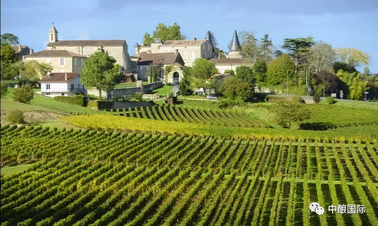 葡萄酒让你爱不释手的N条理由，你中枪了没？