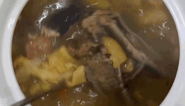 广州老乡村大排档,顺德正宗电饭煲焗鸡