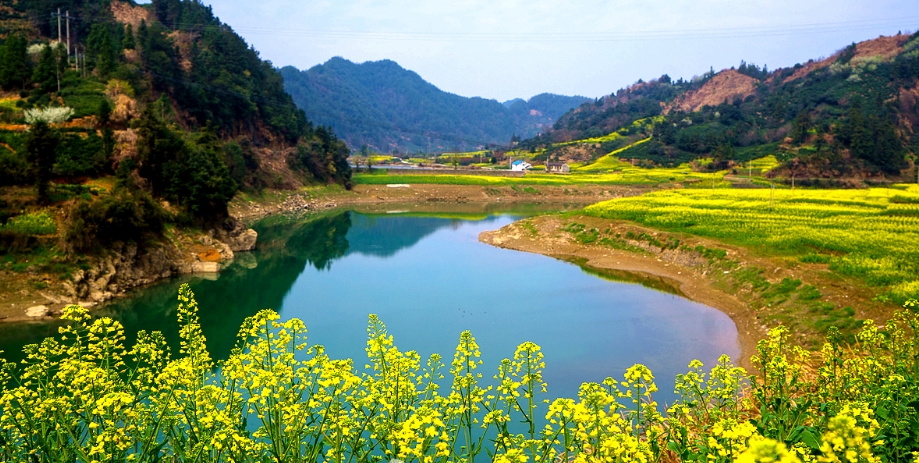 歙县观赏油菜花经典路线,歙县自驾游婺源看油菜花车停哪里
