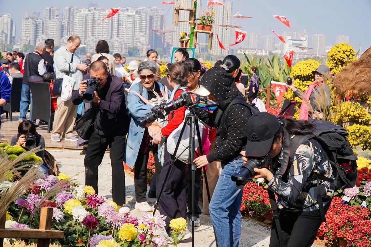 武汉市第40届菊展分展点,武汉市第三十五届金秋菊展