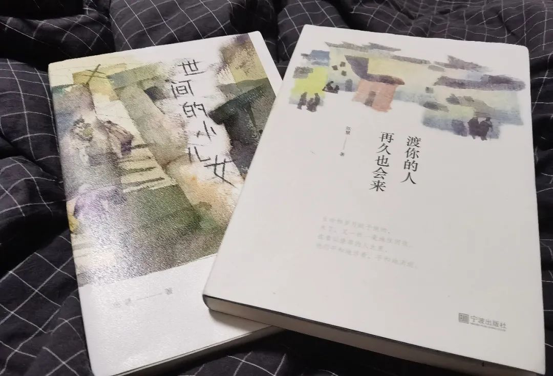 陈慧作家采访,陈慧作家作品