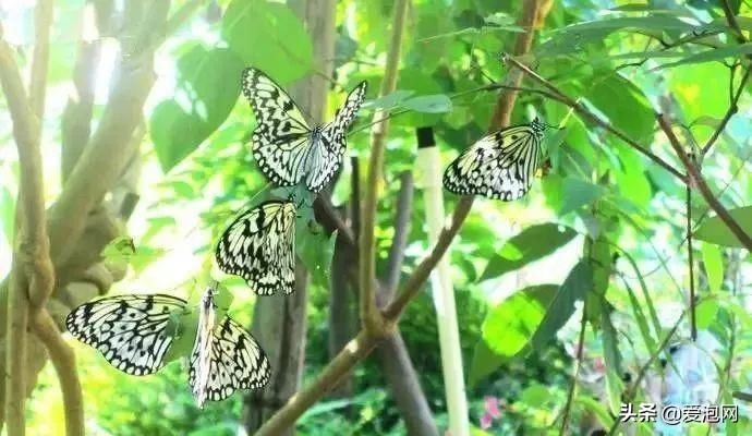 广东藏有7个小九寨沟,风景绝美却少为人知,每一个地方都迷人