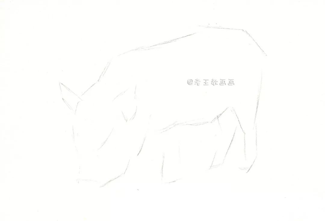 猪年画猪,猪年怎么画