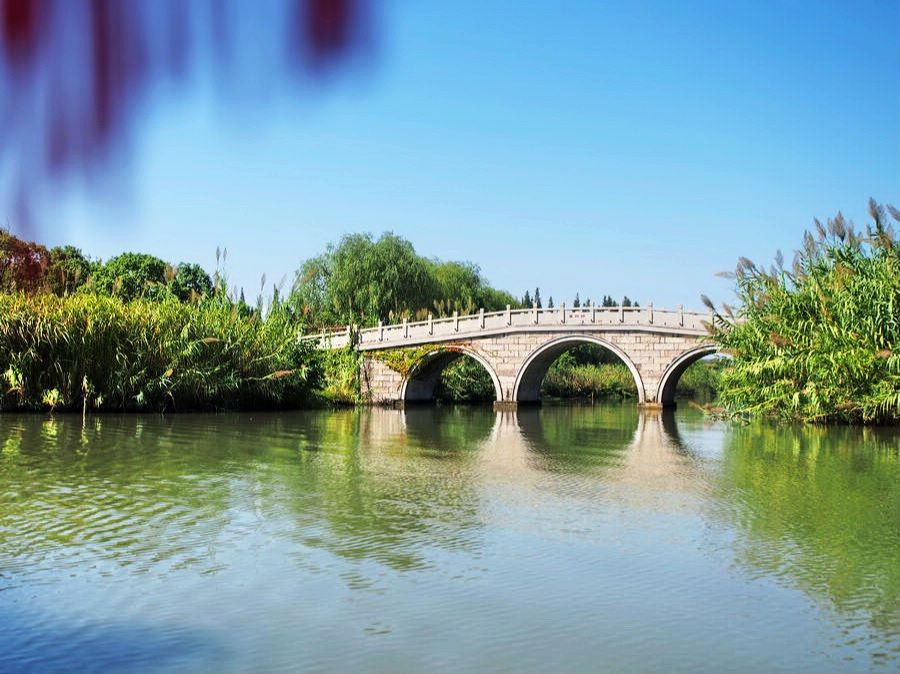 沙家浜景区大闸蟹在哪里,秋天爱上上海的理由大闸蟹