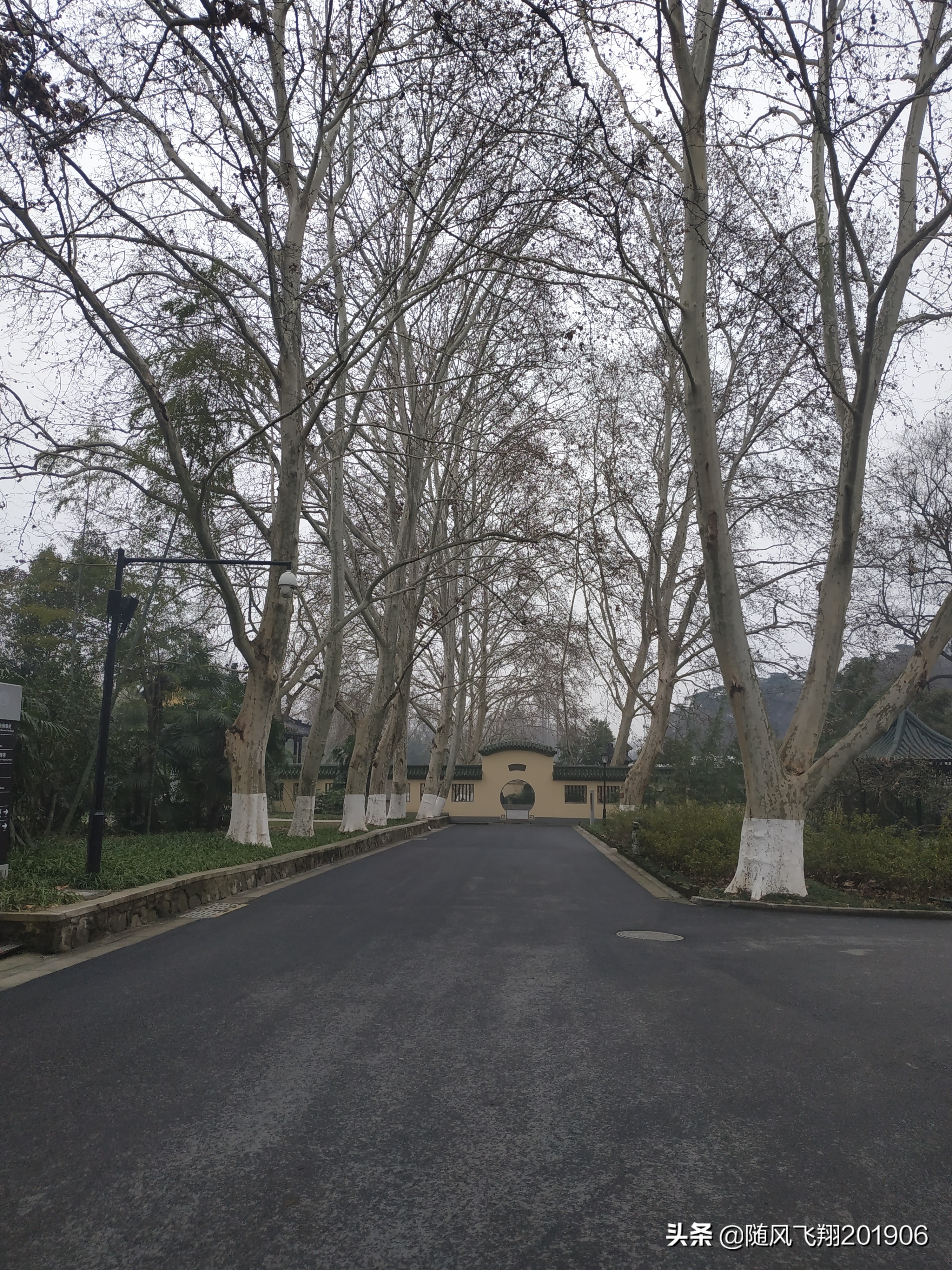 南京雨花台的革命事件,南京革命圣地视频