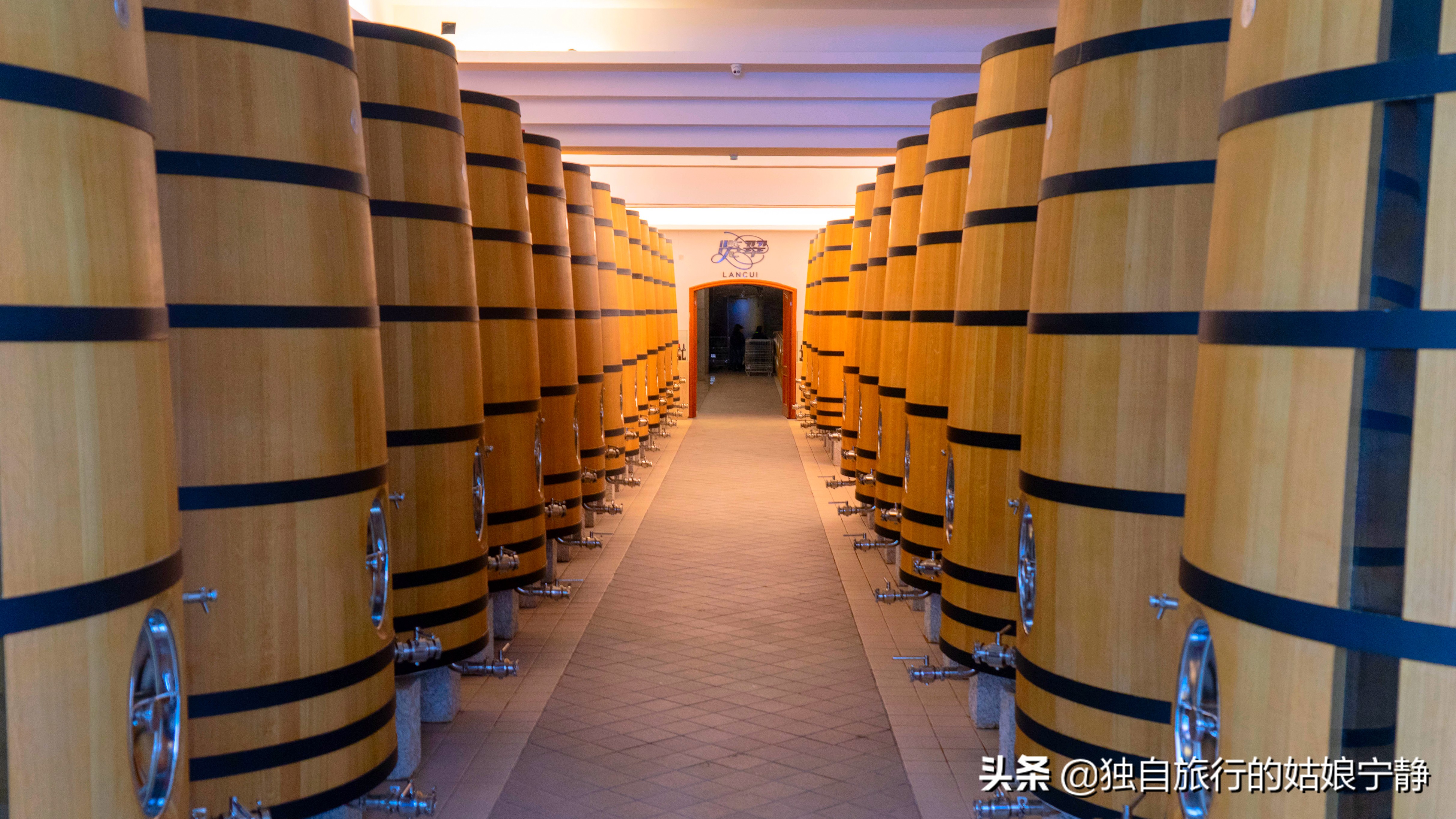 宁夏贺兰山东麓葡萄酒酒庄排名,宁夏十大顶级葡萄酒