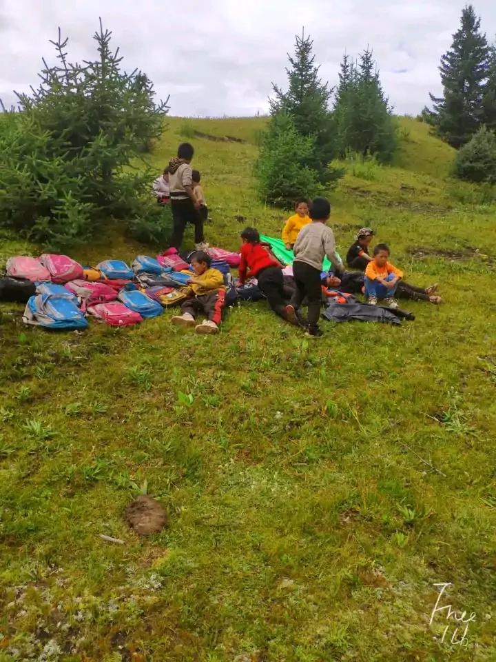 大学生去西藏支教的真实感受,真实的藏区支教