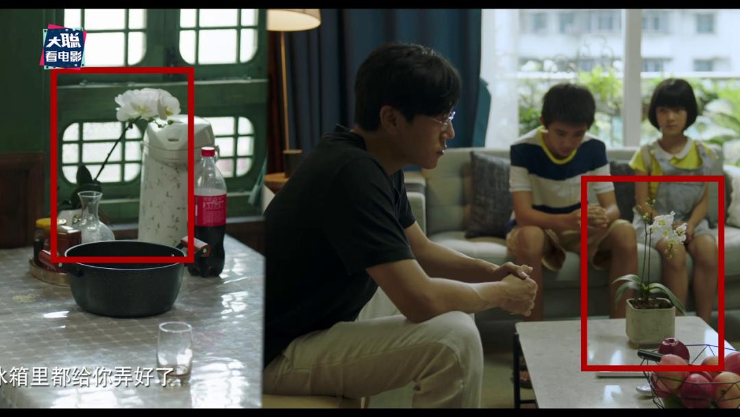 《隐秘的角落》象征含义和结局探讨，每个动物都有它的意义