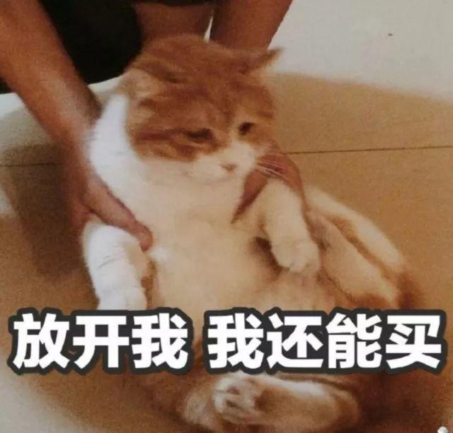 双十一维权数据公布,双十一依法维权案例