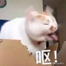 OMG这些口红简直是魔鬼，一张毛爷爷就能买一打！