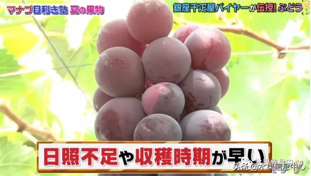 日本水果店怎么挑选,正宗日本水果店