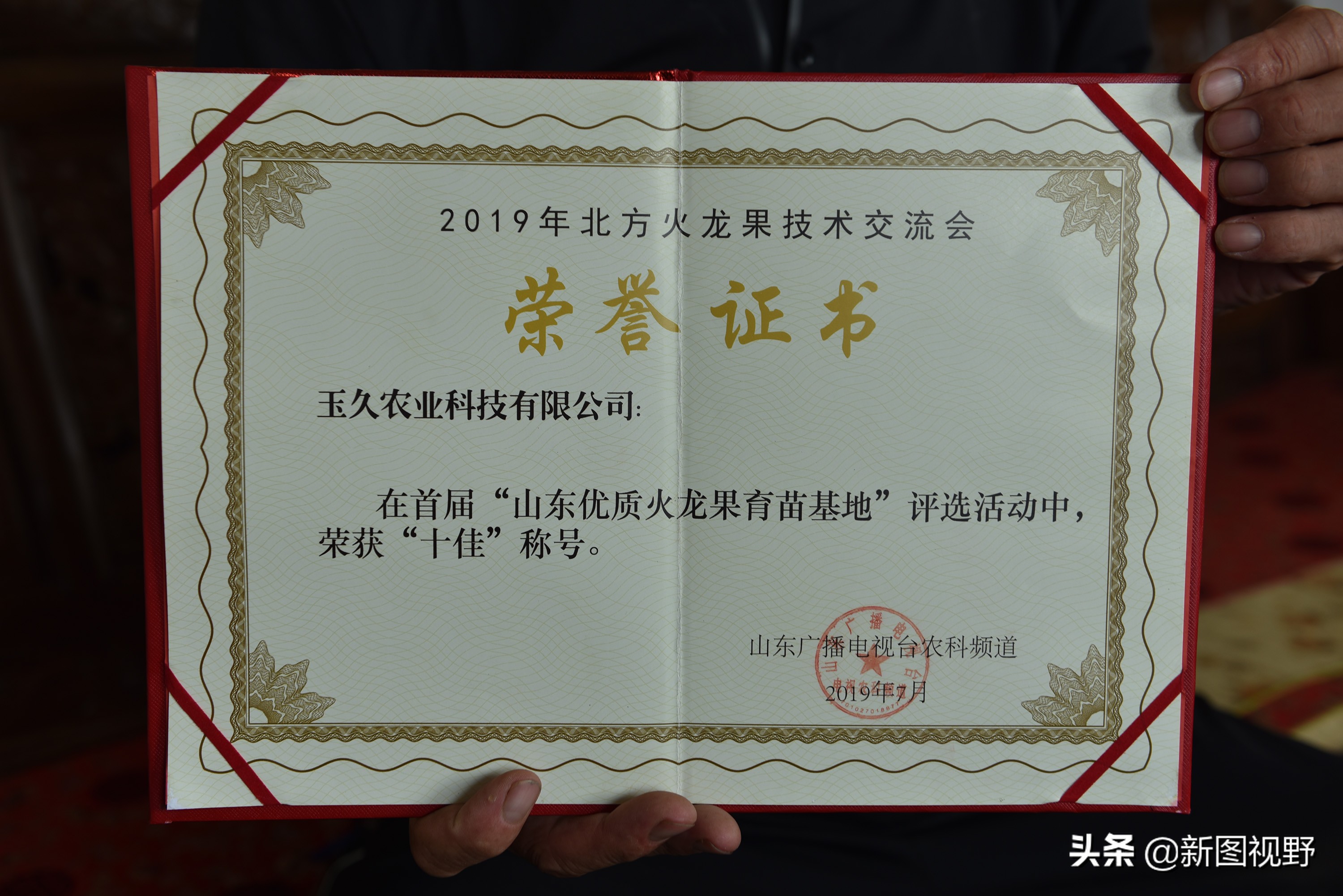 农村大哥吃火龙果,农村大哥种菜一年12万